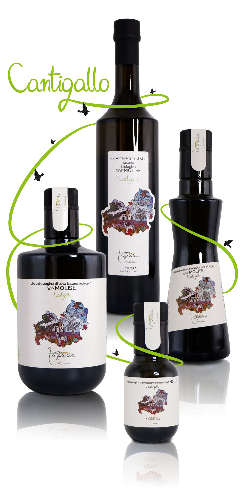 Bottiglie olio extra vergine d'oliva biologico Cantigallo DOP Molise di Masserie Zappacosta