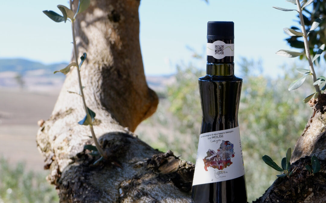 Pourquoi choisir une Huile d&rsquo;Olive Vierge Extra AOP: qualité, bienfaits et garanties