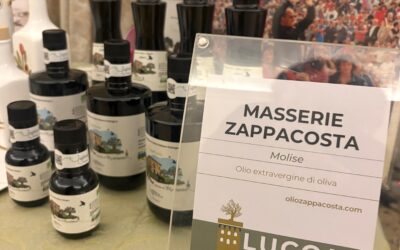 Olio Extravergine del Molise in Tour: Masserie Zappacosta tra Lucca e Olio Capitale a Trieste
